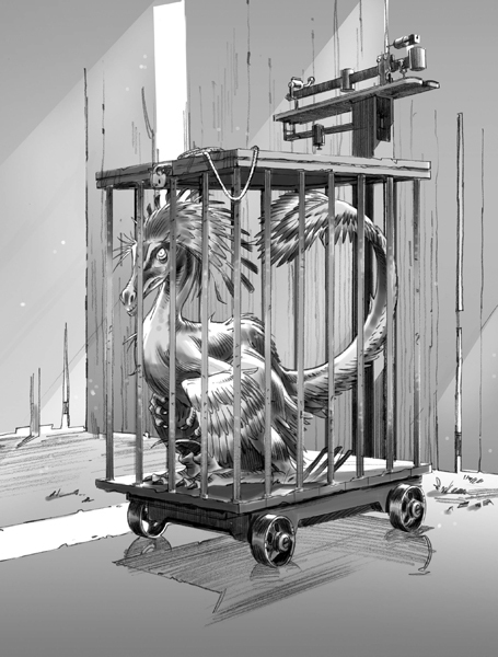 Секрет рапторов - img_40