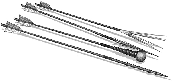 Секрет рапторов - img_49