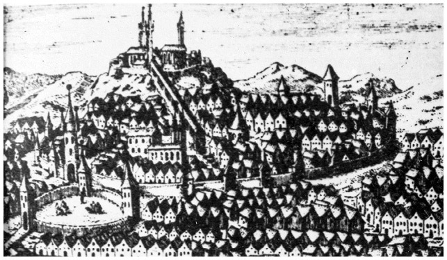 Настоящий Дракула - i_008.jpg