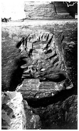 Настоящий Дракула - i_026.jpg