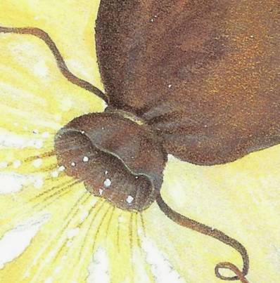 Молчание во благо. Том 1 (СИ) - img_46