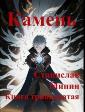 Камень Книга тринадцатая (СИ) - автор Минин Станислав 