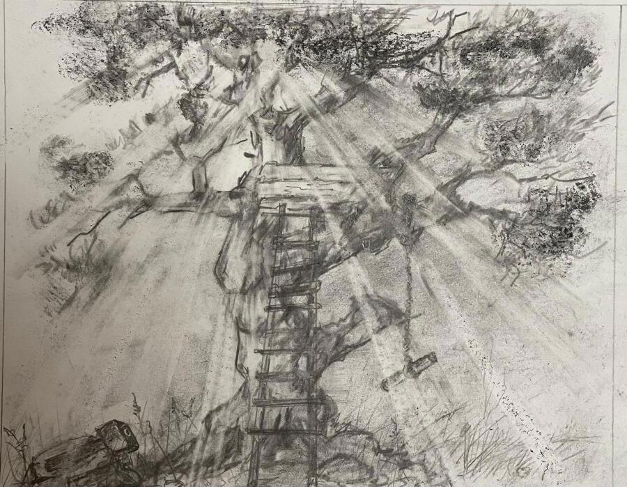 Проект «Наполеон» (СИ) - img_6