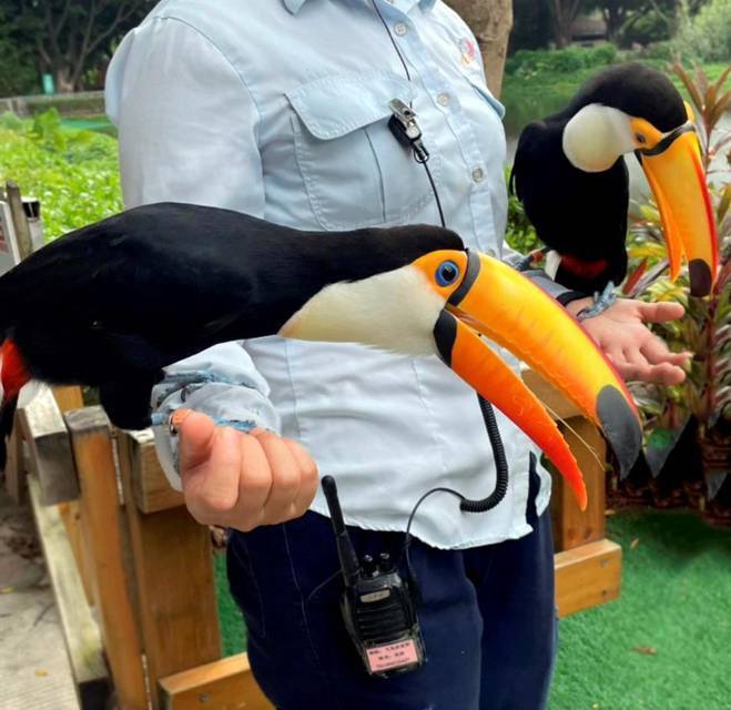 Сад для вороны (СИ) - img_11