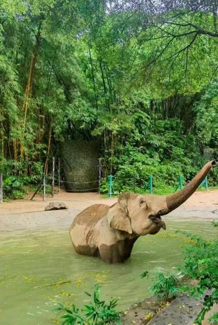 Сад для вороны (СИ) - img_25