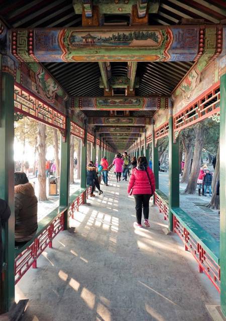 Сад для вороны (СИ) - img_33