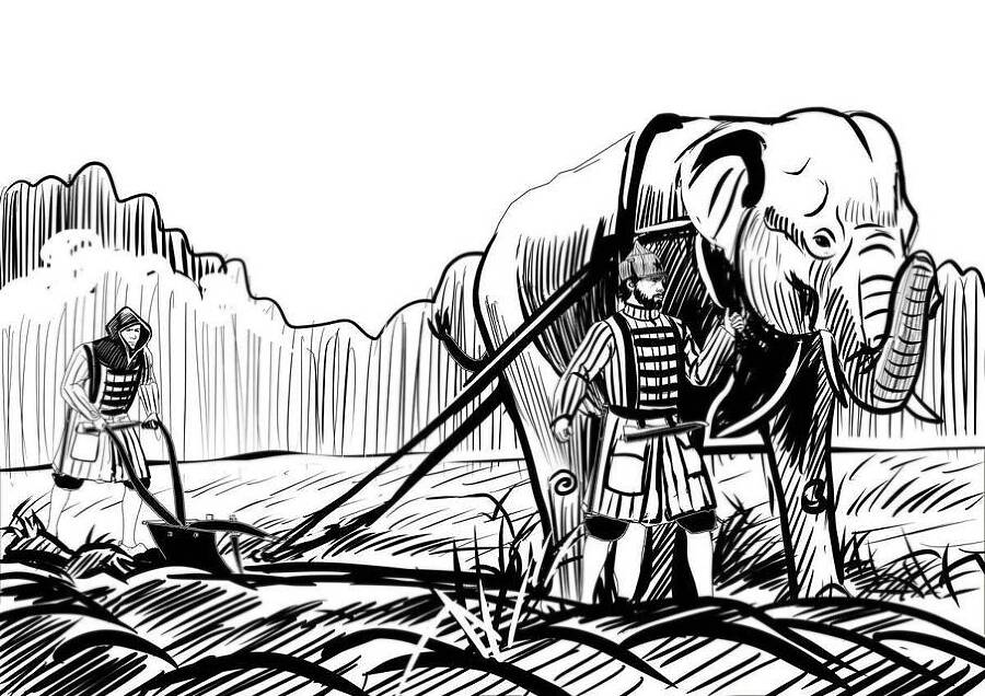 Повелитель корней (СИ) - img_33