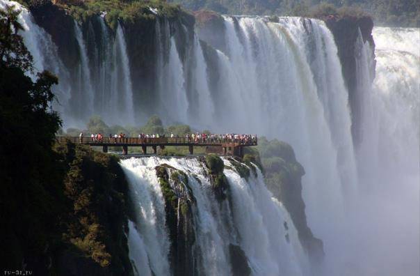 Patria o muerte (СИ) - img_1