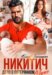 Никитич. Дело о потерянном муже - автор Липницкая Ольга 