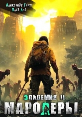 Мародеры (СИ) - автор Лей Влад 