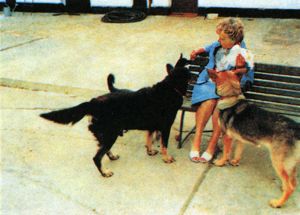 Вечная молодость - foto12.jpg