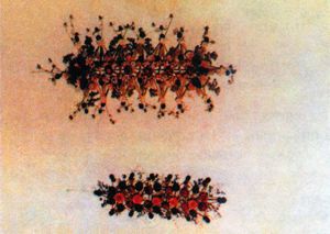 Вечная молодость - foto18.jpg