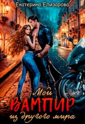 Мой вампир из другого мира (СИ) - автор Елизарова Екатерина 