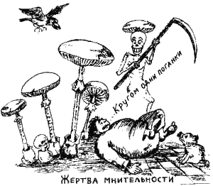 Книга про еду - i_027.png