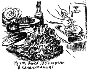 Книга про еду - i_075.png