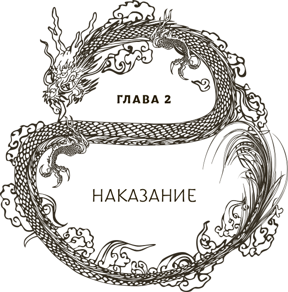 Защити сердце. Книга 2 - i_004.png