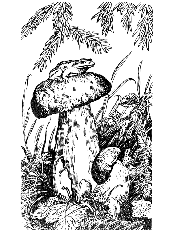 Третья охота. Григоровы острова. Трава - i_010.png