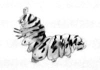 Грач - i_011.jpg