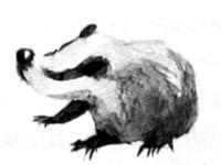 Барсук - i_013.jpg