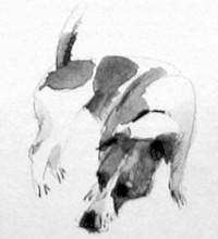 Барсук - i_019.jpg