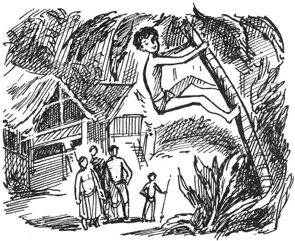 В поисках рая. Экспедиция «Кон-Тики» - i_005.png