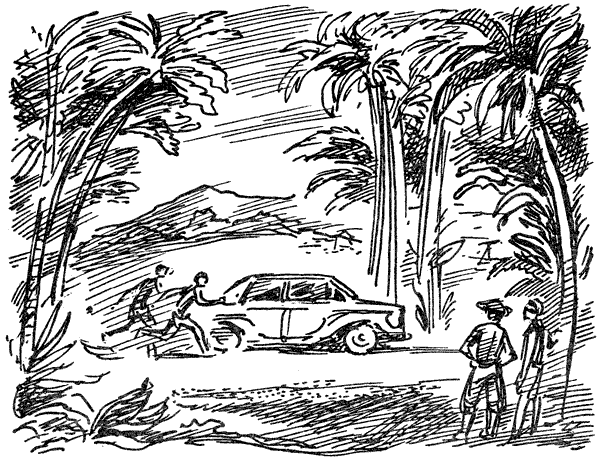 В поисках рая. Экспедиция «Кон-Тики» - i_006.png