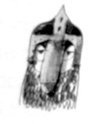 Жаворонок - i_029.jpg