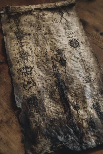 Некромант на страже человечества. Том 5 (СИ) - img_11