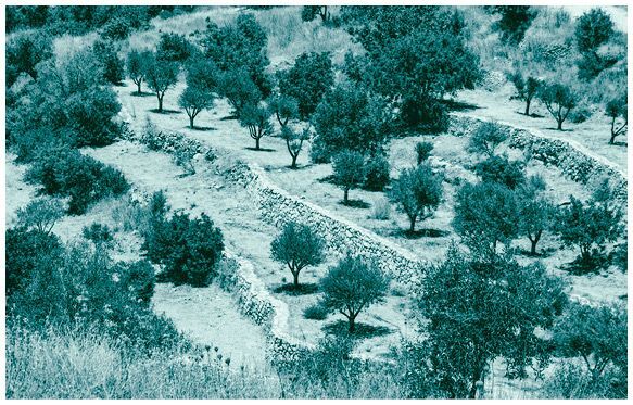 Древнееврейские мифы - i_022.jpg