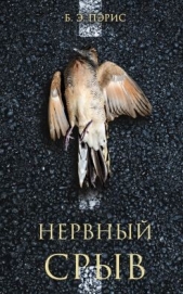 Нервный срыв - автор Пэрис Бернадетт Энн 