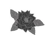 Тысяча шагов в ночи - i_001.jpg