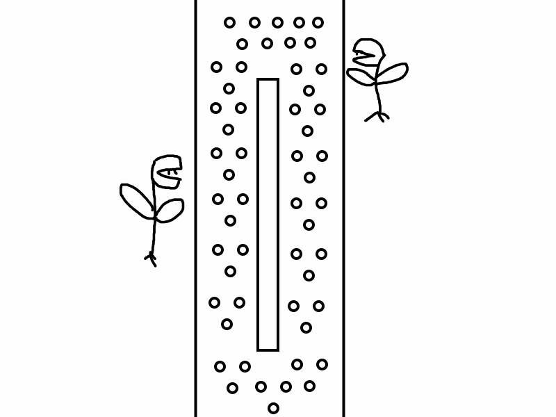 Хранитель Древа Мира. Том 5 (СИ) - img_6