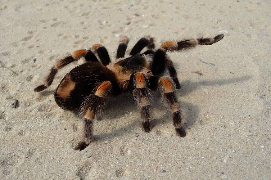 Дорога – мой дом (СИ) - img_12