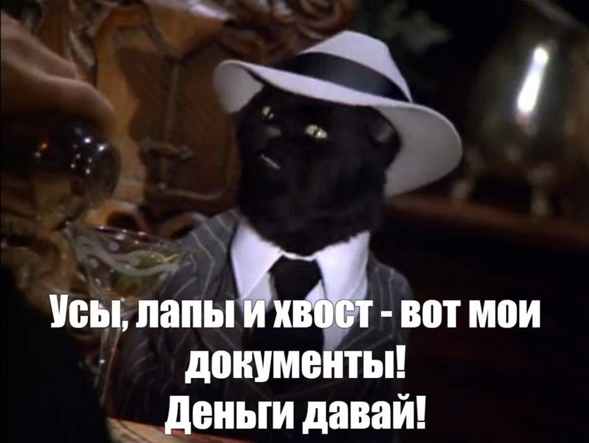 Салем кот Поттера (СИ) - img_07.jpg