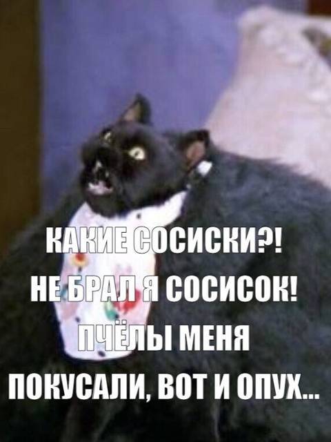 Салем кот Поттера (СИ) - img_14.jpg