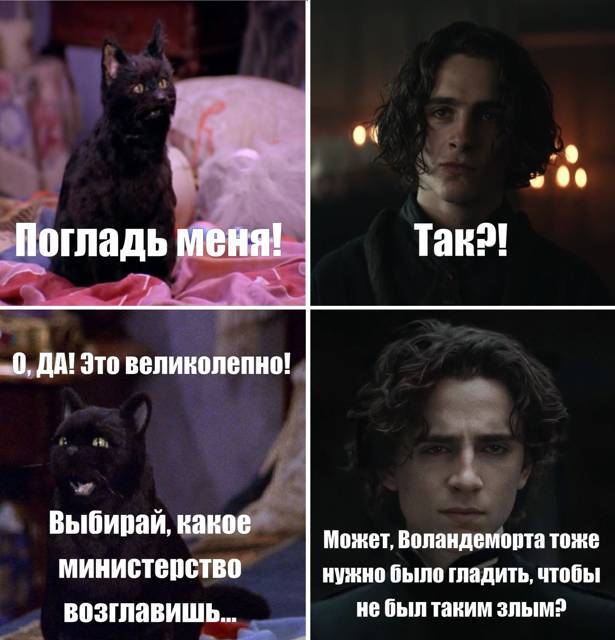 Салем кот Поттера (СИ) - img_45.jpg