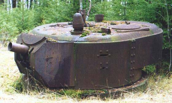 Январский гром (СИ) - img_25