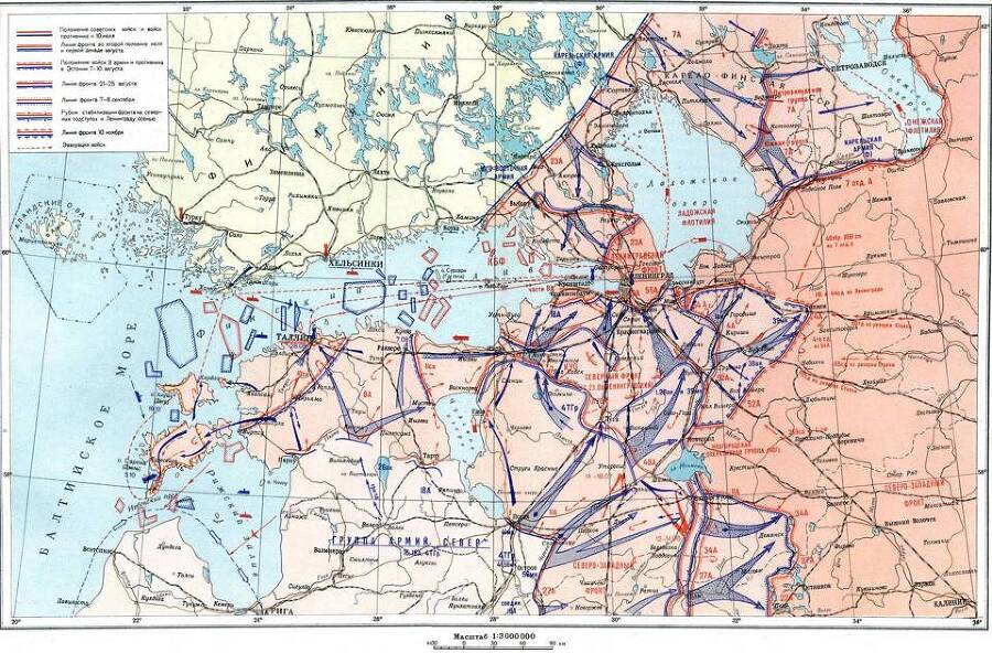 Январский гром (СИ) - img_56