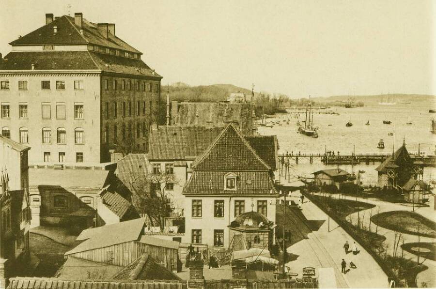 Наследник двух Корон (СИ) - img_9