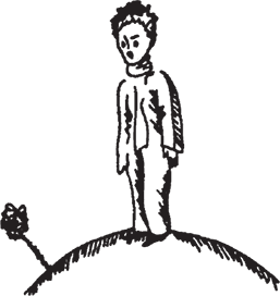 Маленький принц. Цитадель (сборник) - i_019.png