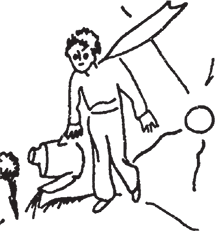 Маленький принц. Цитадель (сборник) - i_020.png