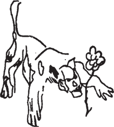 Маленький принц. Цитадель (сборник) - i_021.png