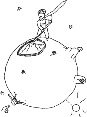 Маленький принц. Цитадель (сборник) - i_023.png