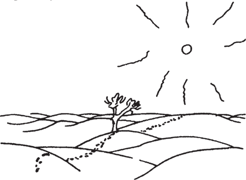 Маленький принц. Цитадель (сборник) - i_034.png