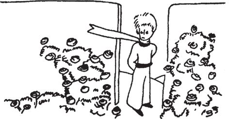 Маленький принц. Цитадель (сборник) - i_036.png