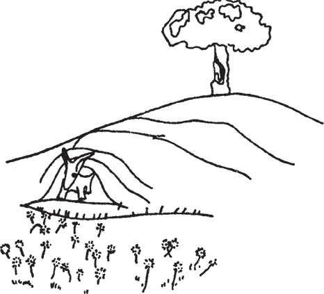 Маленький принц. Цитадель (сборник) - i_039.png