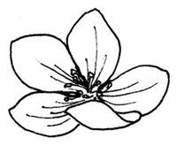 Янтарь рассеивает тьму. Каин - i_020.jpg