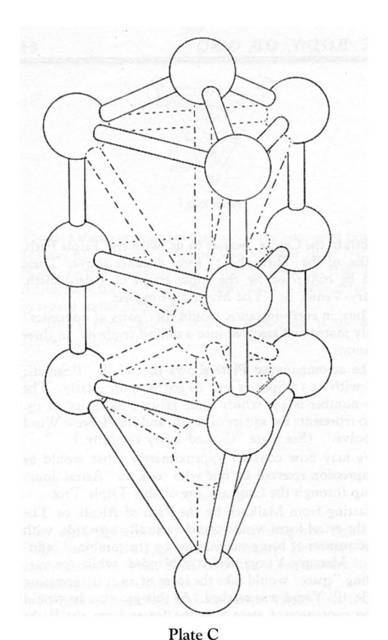 Калибр Личности 10 (СИ) - img_3