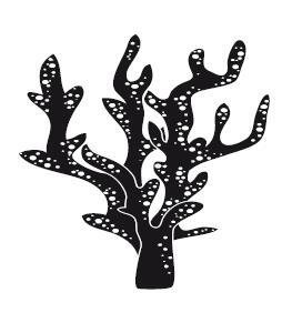 Двойное дно - i_002.jpg