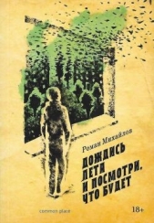  Михайлов Роман Валерьевич - Дождись лета и посмотри, что будет